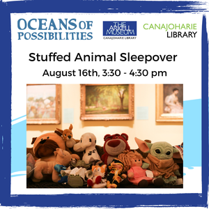 Stuffed Animal Sleep